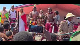 SANINGO DIMERO PERFORMING AJITII AT MAA CULTURAL WEEK 2024 [upl. by Senior]