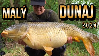 Výprava na Malý Dunaj 🐋🤓 lov rýb na boilies a kukuricu🌽 amura a kapra na rieke [upl. by Dinesh33]