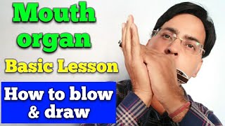 Mouth organ lesson How to blow and draw air in mouth organ [upl. by Theone]