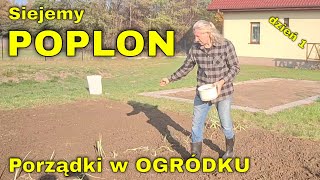 Sprzątamy ogródek warzywny i siejemy poplon ozimy Wysiewamy zielony naturalny nawóz w warzywniaku [upl. by Isidore]