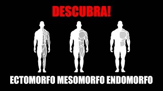 ECTOMORFO MESOMORFO E ENDOMORFO  ENTENDA OS SHAPES DE MAROMBA [upl. by Amber]