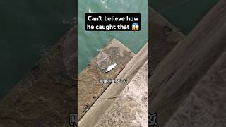 Cant believe how he caught that fishinglife fishtank fisherman fishvideo river aquarium fish [upl. by Eoz]