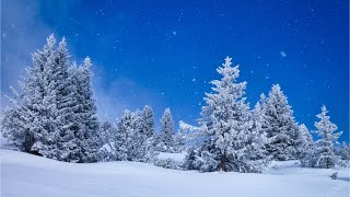 Beautiful Relaxing Music Peaceful Soothing Instrumental Music quotWinter Woodsquot by Tim Janis [upl. by Einalem]