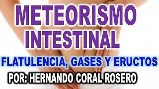 METEORISMO INTESTINAL  FLATULENCIA GASES Y ERUCTOS [upl. by Piegari]