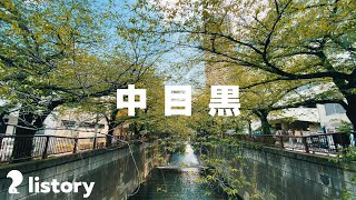 中目黒編【listory walker】Vol1 [upl. by Aloise]