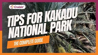 Tips For Kakadu National Park [upl. by Laurence]