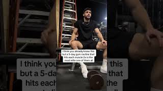 Push pull legs upper lower 🤐 fitnesstips workoutadvice gymadvice fitness gym onthisday [upl. by Tali]