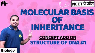 Molecular Basis of Inheritance Class 12 Biology NEET  NCERT Chapter 5  DNA Nucleotides 1 [upl. by Lanti]