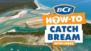 How to Catch Bream on Lures  BCF How To [upl. by Hama319]