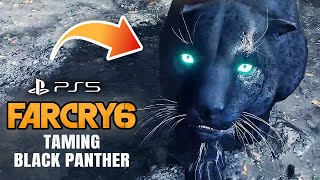 TAMING THE BLACK PANTHER AS MY PET IN FAR CRY 6 [upl. by Ladnik]