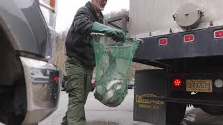 WVDNR increases Buffalo Creek trout stocking [upl. by Iv923]