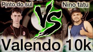 Pitinho x Nino tatu valendo 10k [upl. by Yromem]