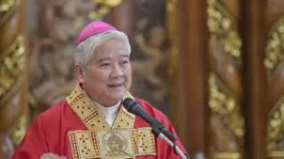 Archbp Socrates Villegas Homily  Pentecost Sunday Mass [upl. by Eintrok]