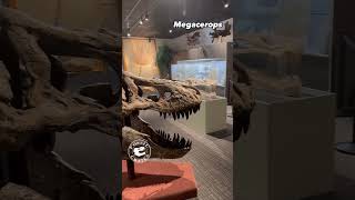 Explore The Exciting New Exhibit Room at Brigham Young Universitys Museum of Paleontology [upl. by Imiaj]