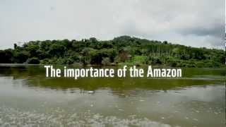 The importance of the Amazon to the world [upl. by Ailadi]