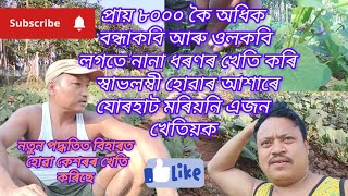 Bondha kobi kheti in assam viralvideo [upl. by Adriane]