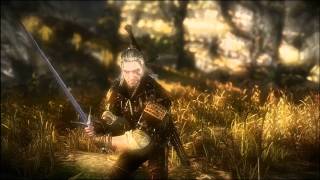 Lets Play The Witcher 2 037 Deutsch HD  Der Kayran [upl. by Glialentn]