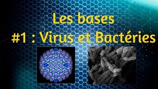 Les bases expliquées 1  Virus et Bactéries [upl. by Yadrahc779]