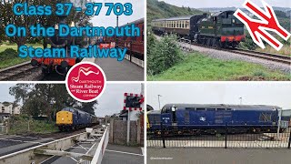 Class 37  37 703 On Dartmouth Steam Railway [upl. by Neleb]