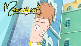 Marsupilami  Season 2 Episode 12  The Flying Burglar ⚡ [upl. by Ettenirt289]