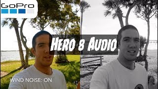 GoPro Audio Test Hero 8 Black Settings For WIND NOISE [upl. by Chae38]