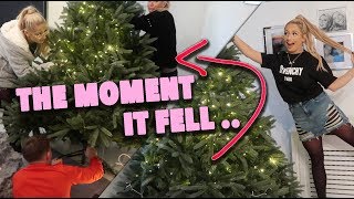 PUTTING UP OUR CHRISTMAS TREE SUCCESS OR FAIL 😳😱 [upl. by Drawets711]