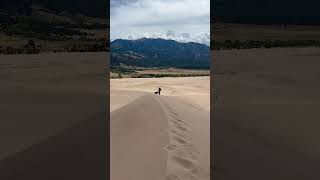 Hike to the top of High Dune in Great Sand Dunes National Park [upl. by Hally935]