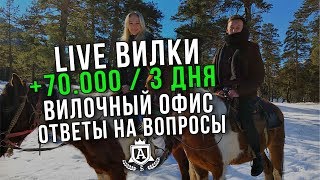 Лайв Вилки 70000 руб3 дня  Вилочный офис  Топ 5 вопросов по вилкам  Обучение вилкам [upl. by Akinal]