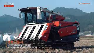 Daedong DXM110 Half feed combine Harvester paddy cutting machine🌾Dhan🌾 cutting [upl. by Gen655]