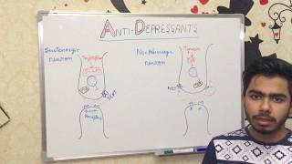 BASICS OF ANTIDEPRESSANTS [upl. by Ynner546]