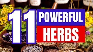 quot11 Powerful Herbs in Your Kitchen Unlock Their Healing Secretsquot [upl. by Kcirdled]