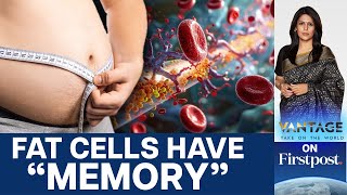 Fat Cells Have quotMemoryquot Remember Past Obesity  Vantage With Palki Sharma [upl. by Iadrahc821]