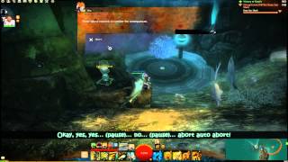 Guild Wars 2  Jumping Puzzle  Bloodtide Coast Professor Portmatts Lab [upl. by Neoma7]