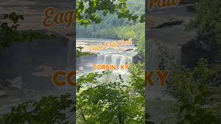 Kentucky hikes Cumberland Falls State Park hiking waterfall kentucky outdoors nature [upl. by Neeluqcaj279]