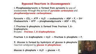 BiochemistrySimplifiedGluconeogenesis [upl. by Nerha]