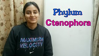 Phylum Ctenophora  Biological classification part 13  Class XI  Lecture 41 [upl. by Negris]