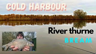 Feeder Fishing Cold Harbour Norfolk Broads River Thurne For Bream Roach Boats Wildlife Otter Owl [upl. by Diana]