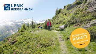 Wandern inmitten der Bergblumen an der Lenk [upl. by Niggem]