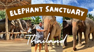 Thailand Feeding amp Bathing Elephants at the Ao Nang Elephant Sanctuary in Krabi [upl. by Pauwles]