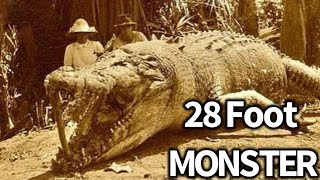 Super Crocs Giant Crocodile Documentary [upl. by Sello]