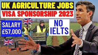 UK Agricultural Jobs With Visa Sponsorship 2023 Fruit Picking Seasonal Work Visa No IELTS [upl. by Eisenstark]