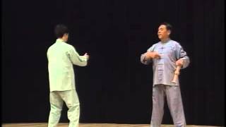 Chen Taichi Japan demo 3 of 4 [upl. by Ahron]