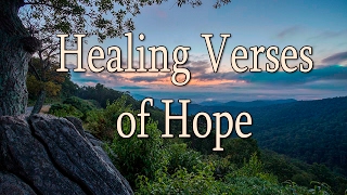 50 Healing Verses of HOPE  Stephen Voice [upl. by Sivie]