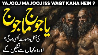 The Real Story of Yajooj Majooj  Yajuj Majuj Aur Zulkarnain  Gog and Magog  Faysal Islamic [upl. by Nirrol]