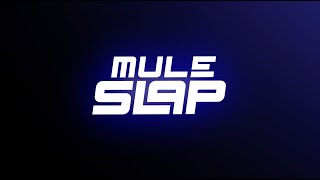 Mule Slap [upl. by Johen]