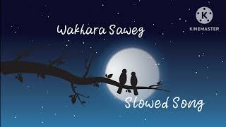 Wakhara Saweg Lofi Song Mashup Lofi Song Slowed And Reverb Song [upl. by Valentina]