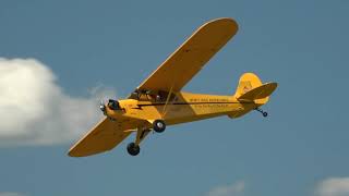 Greg Koontz  Piper Cub  Alabama Boys  Geneseo 2019  Sunday [upl. by Grenier]