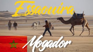 Essaouira in Morocco  beach horse riding and food sunsetkitesurf [upl. by Felder74]