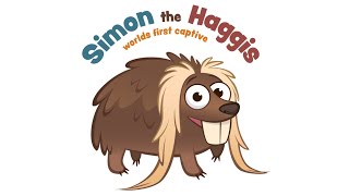 Simon the worlds first captive Haggis  Animal Magicdom [upl. by Aliemaj]