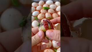 Fertilized egg amazingfacts food [upl. by Hamforrd40]